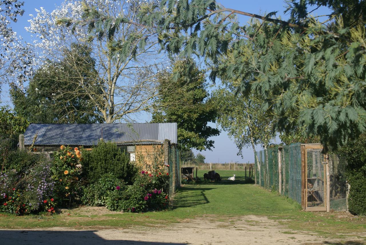 Camping La Viotterie La Boissiere (Mayenne) Exterior foto